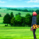 Illustration for article titled The Spring 2015 Anime Sequel Guide